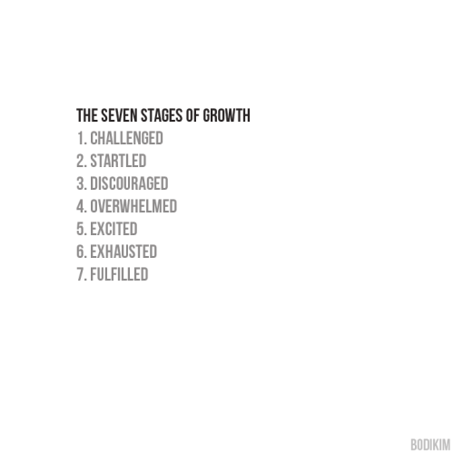 7_stages